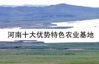 8月19日，河南省政府發(fā)布了關(guān)于深入推進農(nóng)業(yè)供給側(cè)結(jié)構(gòu)性改革 大力發(fā)展優(yōu)勢特色農(nóng)業(yè)的意見