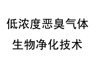 低濃度惡臭氣體生物凈化技術(shù)